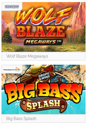 Playzee Casino game